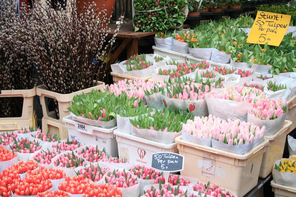 Šareni buketi tulipana izloženi na štandu cvjećarnice